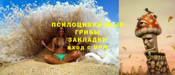 шишки Володарск