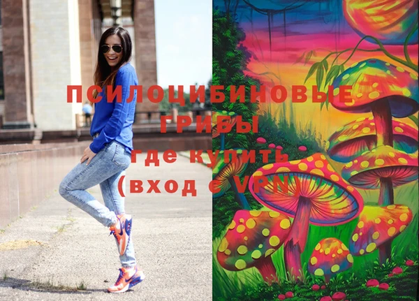 шишки Володарск