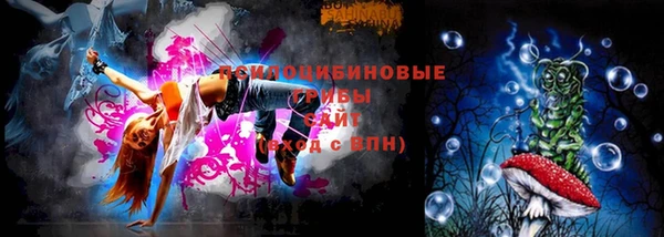 шишки Володарск