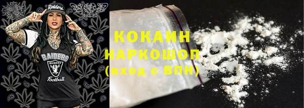 шишки Володарск