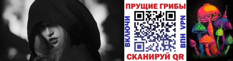 mega сайт  Видное  Галлюциногенные грибы Cubensis 